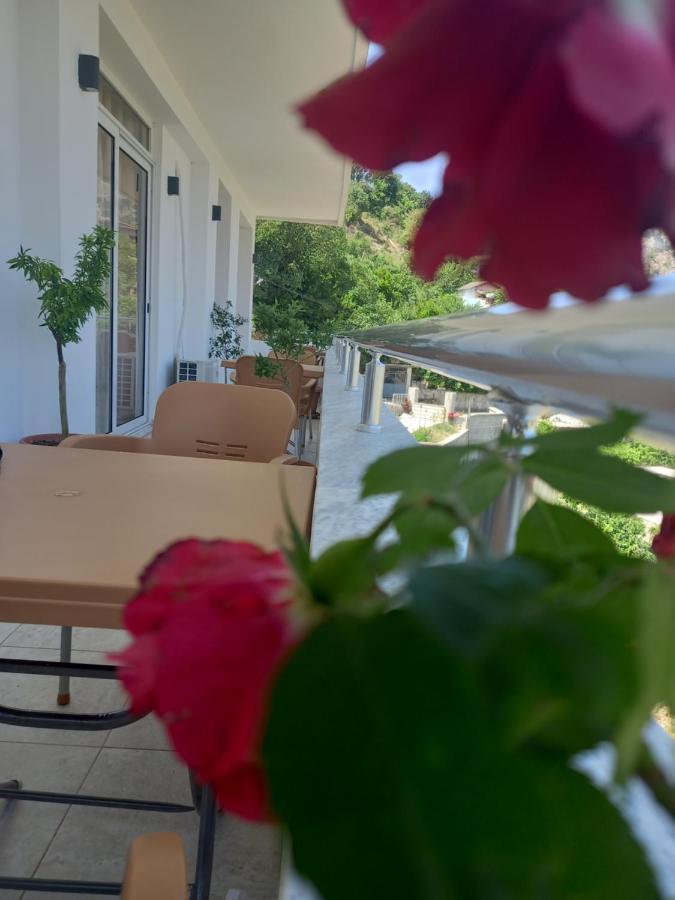 Vladimir Estate Hotel Gjirokaster Luaran gambar